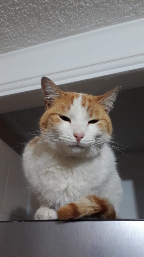 George