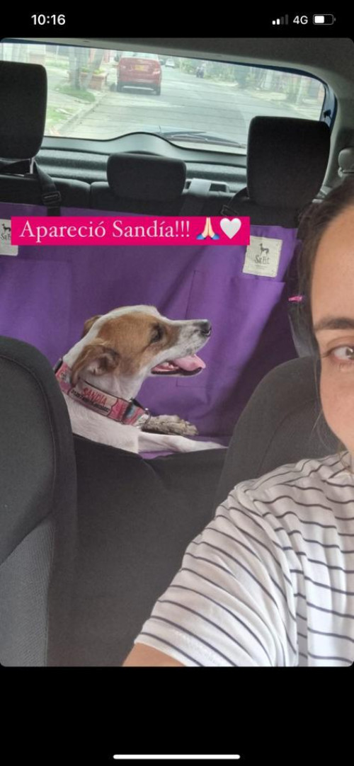 Sandía