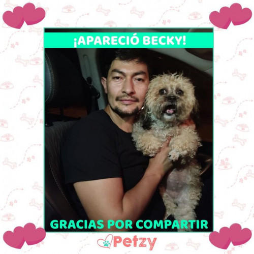 Foto de mascota Becky