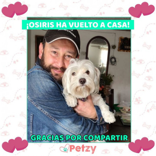 Foto de mascota Osiris