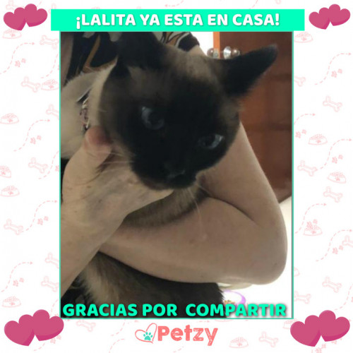 Foto de mascota Lalita