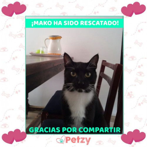 Foto de mascota Mako