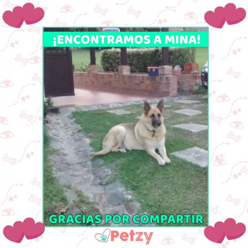 Foto de mascota Mina