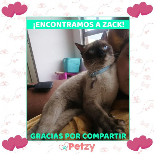 Foto de mascota Zack