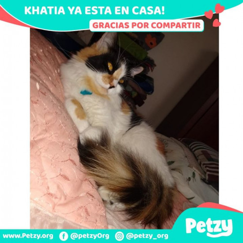 Foto de mascota Khatia