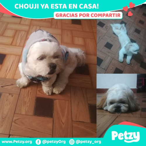 Foto de mascota Chouji