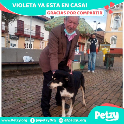 Foto de mascota Violeta