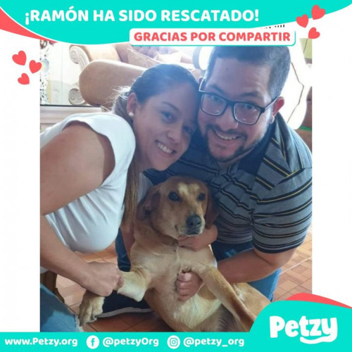 Foto de mascota Ramon