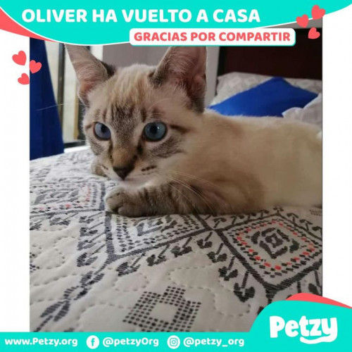 Foto de mascota Oliver