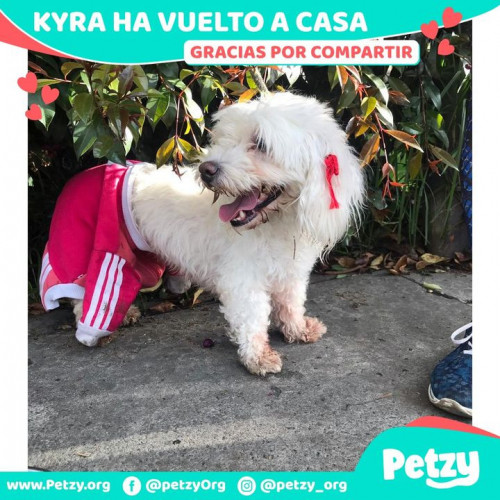 Foto de mascota Kyra