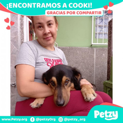 Foto de mascota Cooki