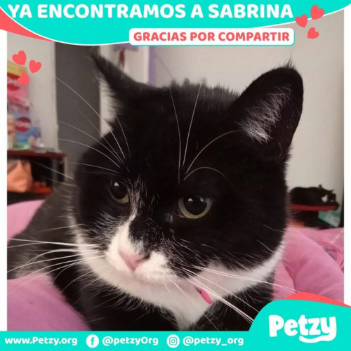 Foto de mascota Sabrina