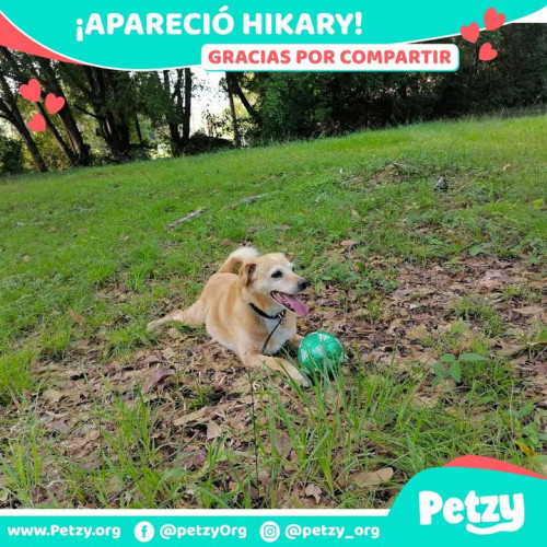 Foto de mascota Hikary 