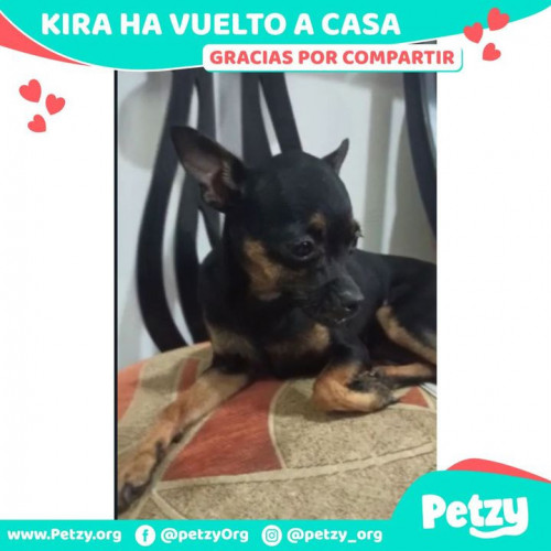 Foto de mascota Kira