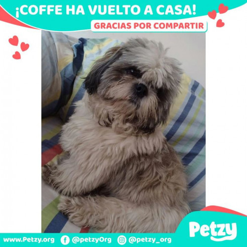 Foto de mascota Coffee