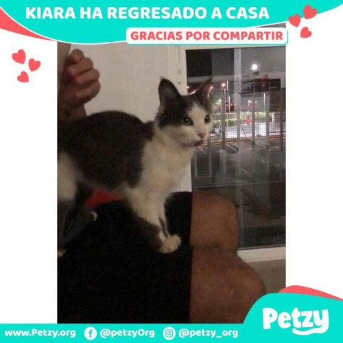 Foto de mascota Kiara