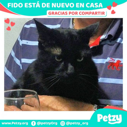 Foto de mascota Fido