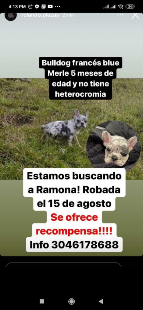 Ramona