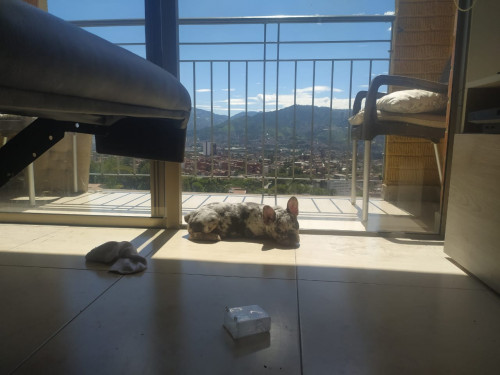 Ramona
