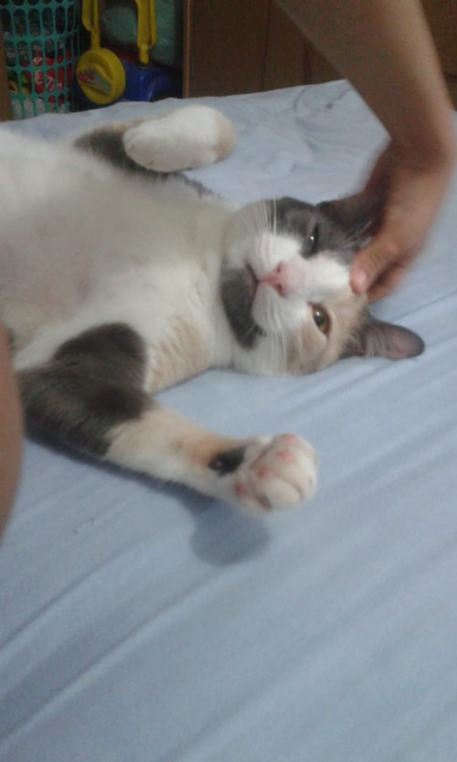 Caperuza