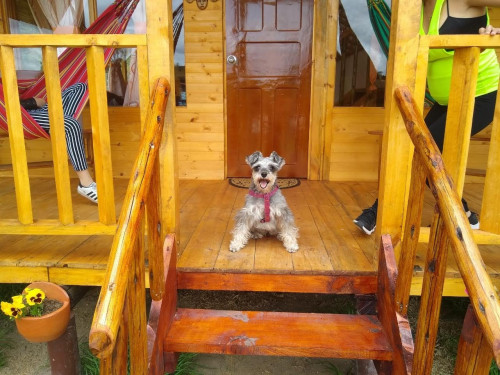 Atena