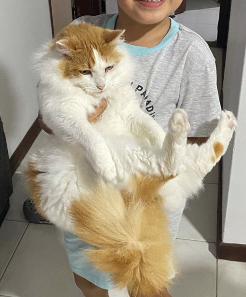 Camilo