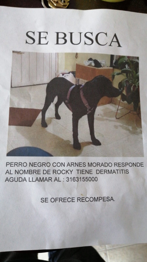 Rocky