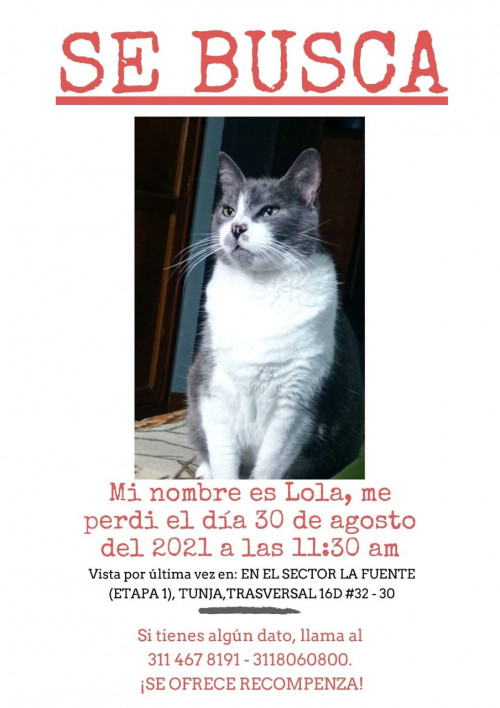 Lola