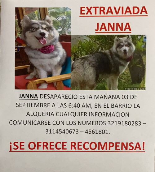 Janna