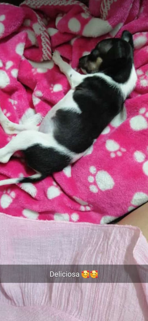Lola