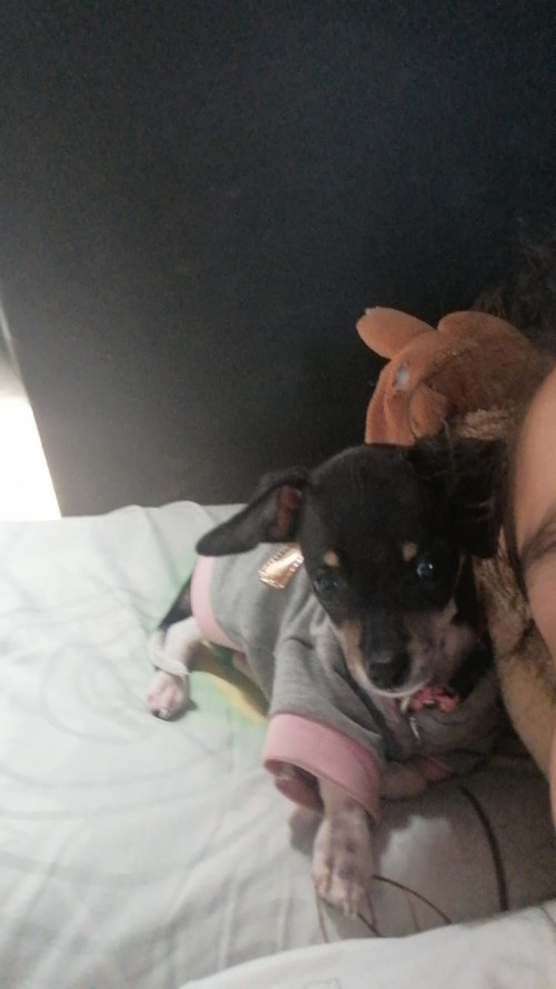 Lola