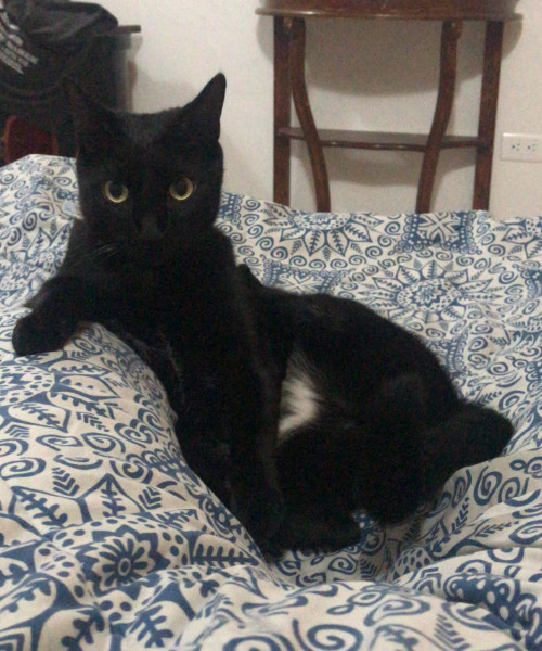 Pablo