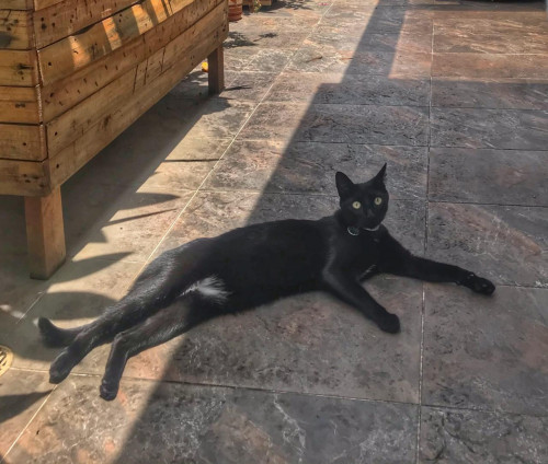 Pablo