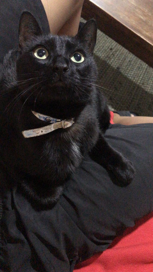 Pablo
