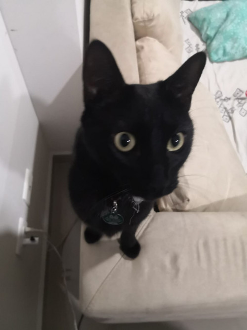 Pablo