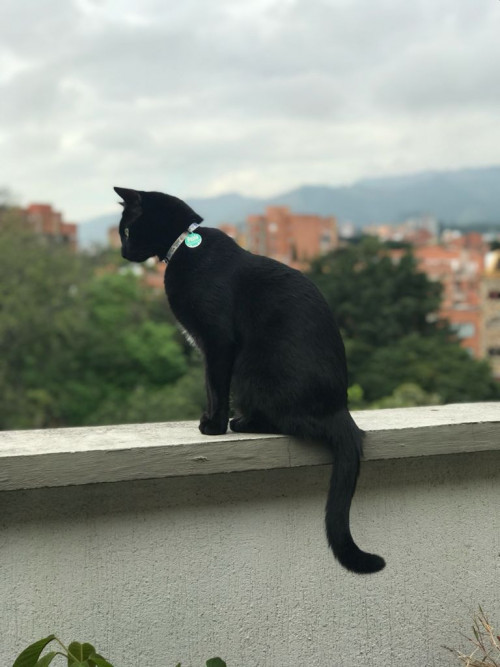 Pablo