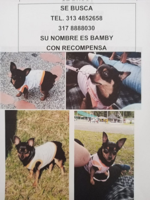 Bamby