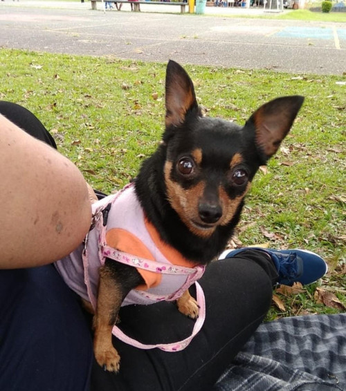 Bamby
