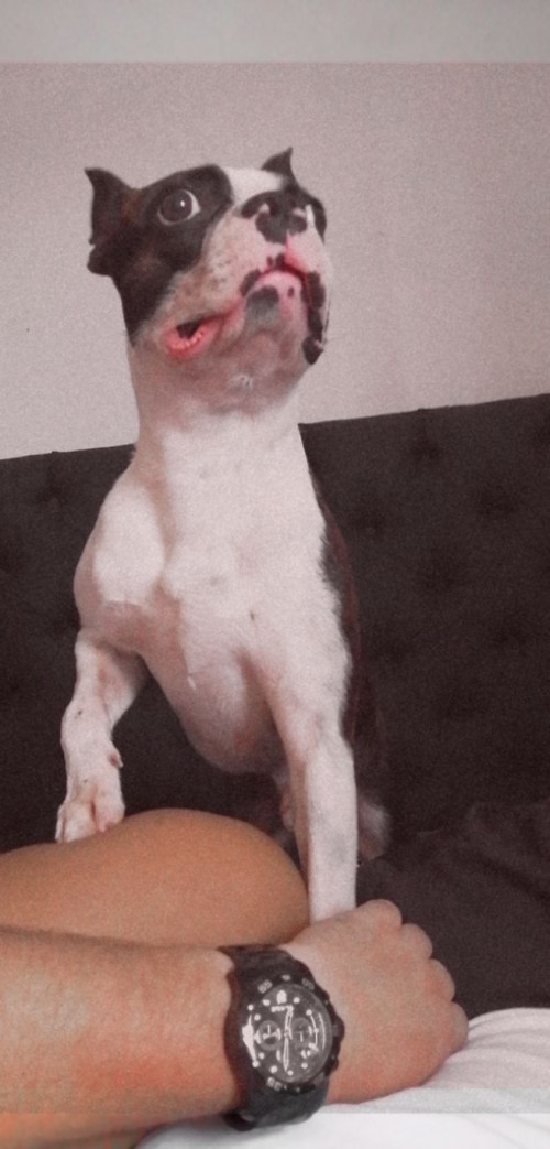 Román