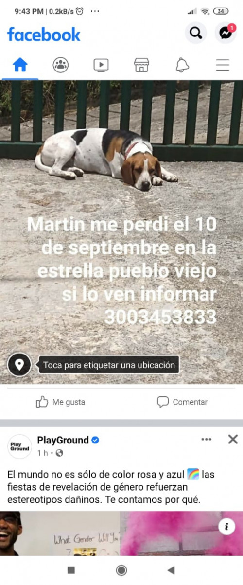Martin