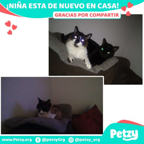 Foto de mascota Niña