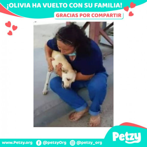 Foto de mascota Olivia