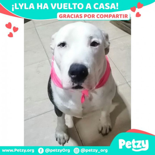 Foto de mascota Lyla