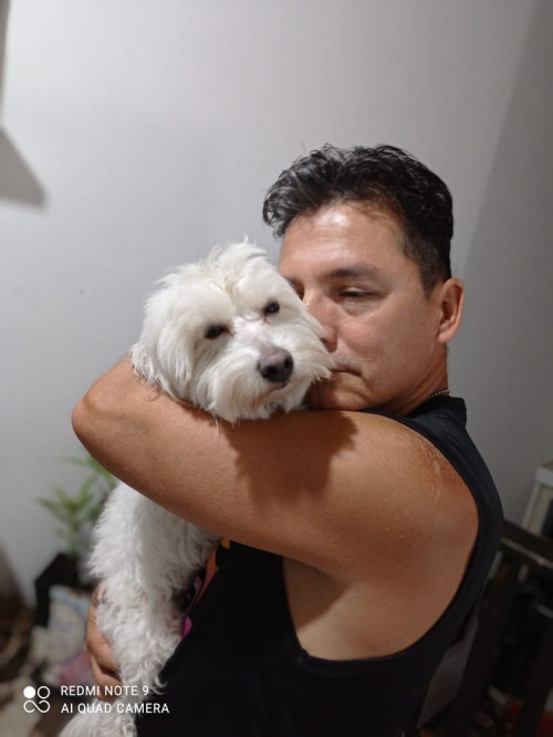 Copito