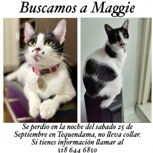 Maggie