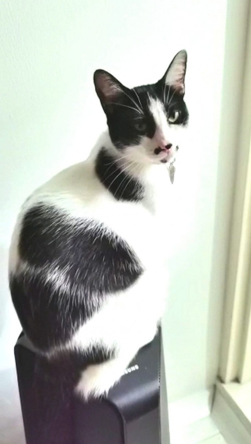 Maggie