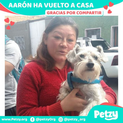 Foto de mascota Aarón