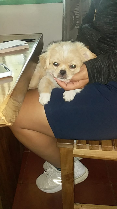 Coco