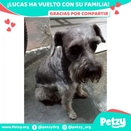 Foto de mascota Lucas