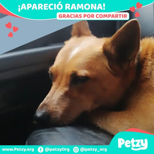 Foto de mascota Ramona